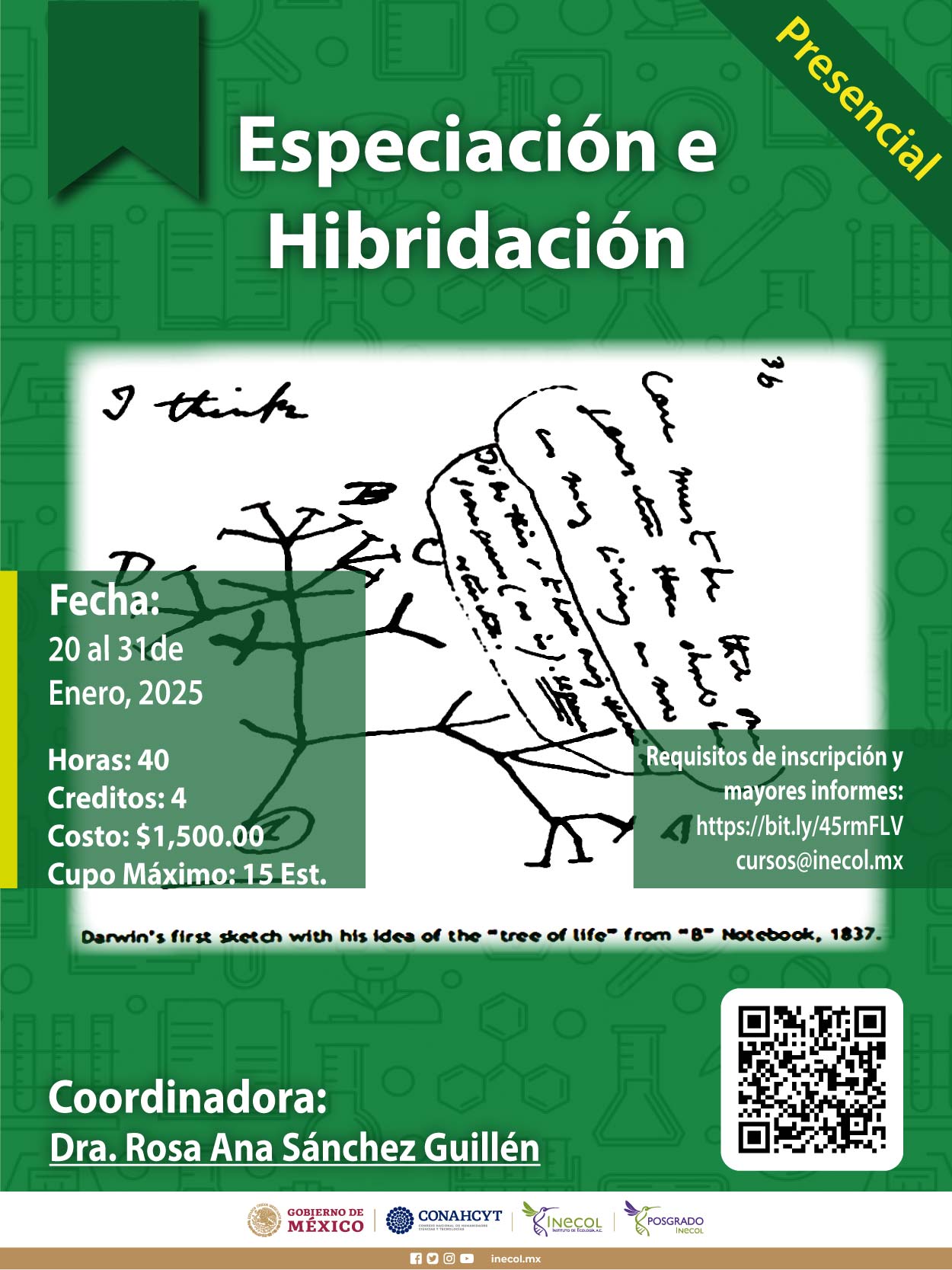 Especiación e hibridación 