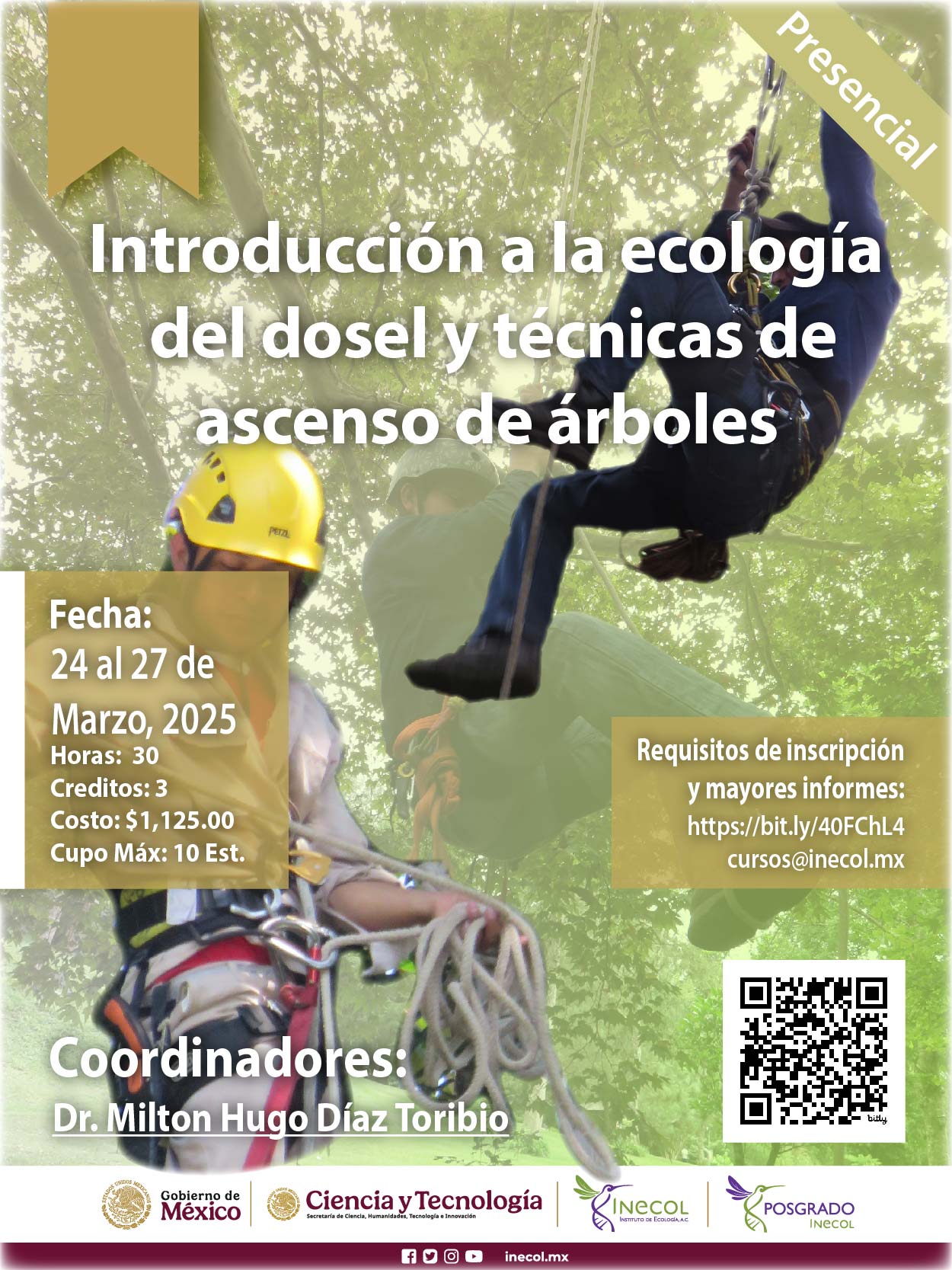 Introducción a la ecología del dosel y técnicas de ascenso de árboles