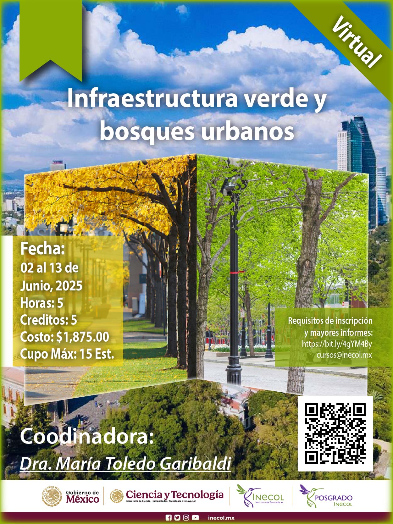 Infraestructura verde y bosques urbanos