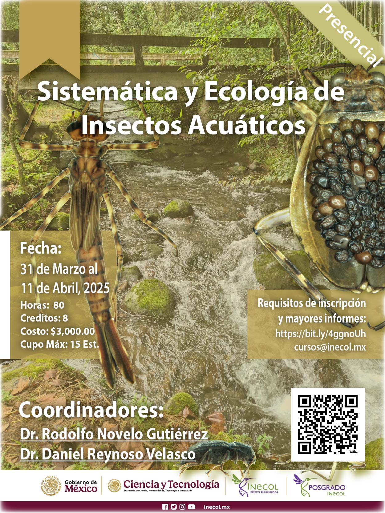 Sistemática y Ecología de Insectos Acuáticos