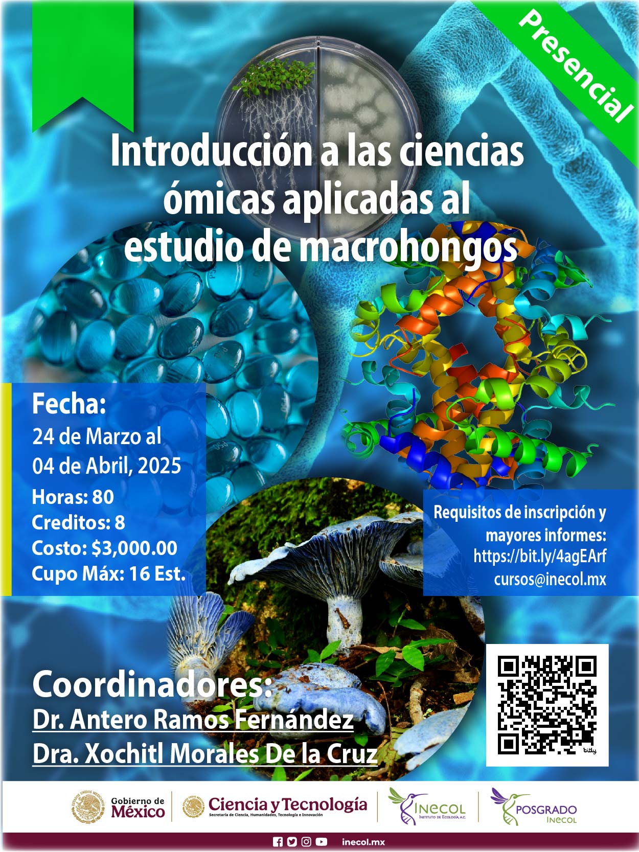 Introducción a las ciencias ómicas aplicadas al estudio de macrohongos