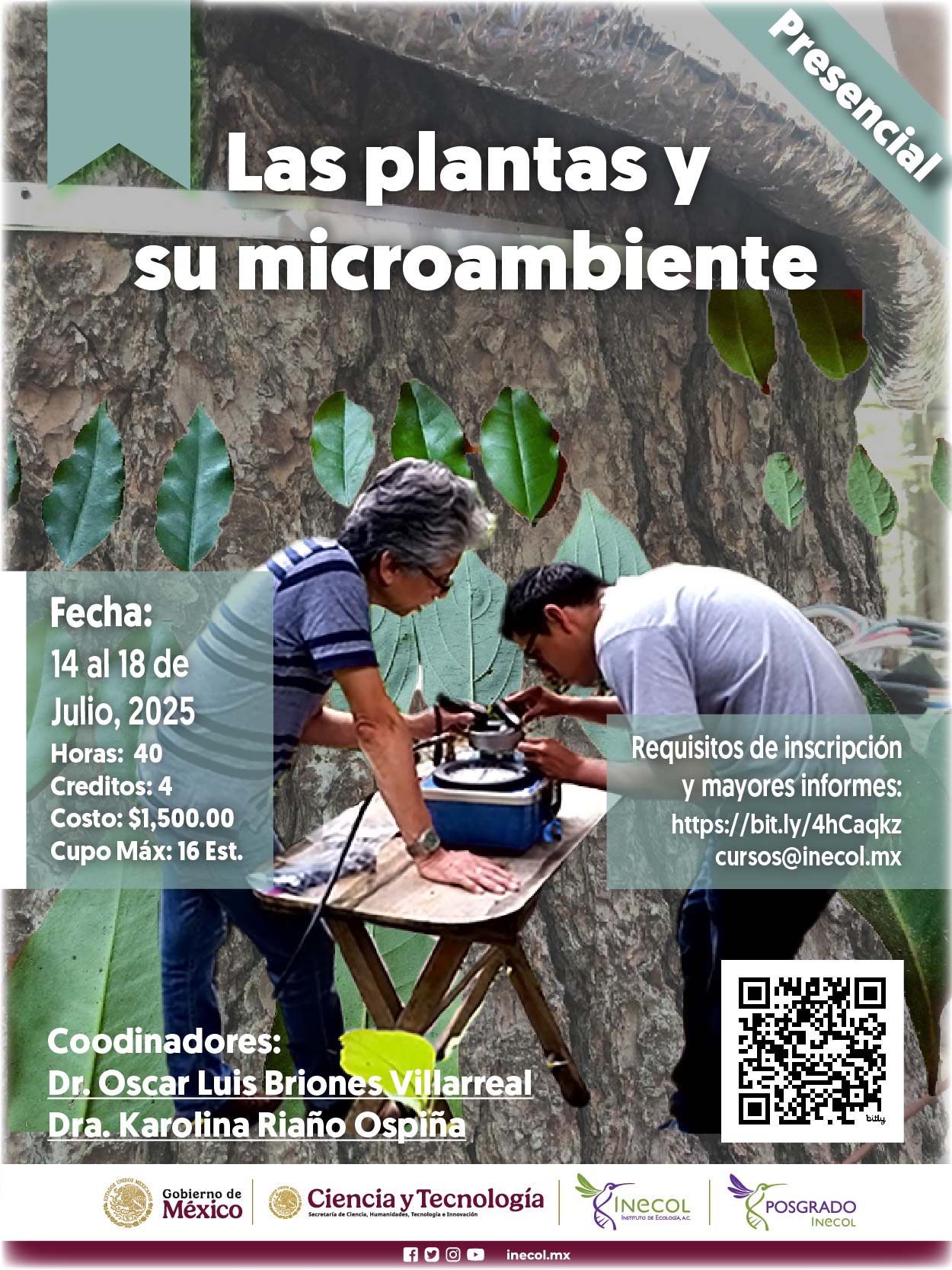 Las plantas y su microambiente