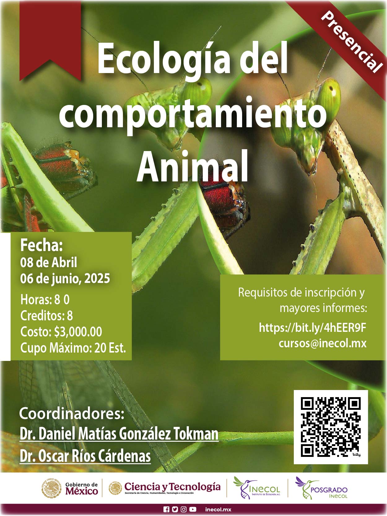 Ecología del comportamiento animal