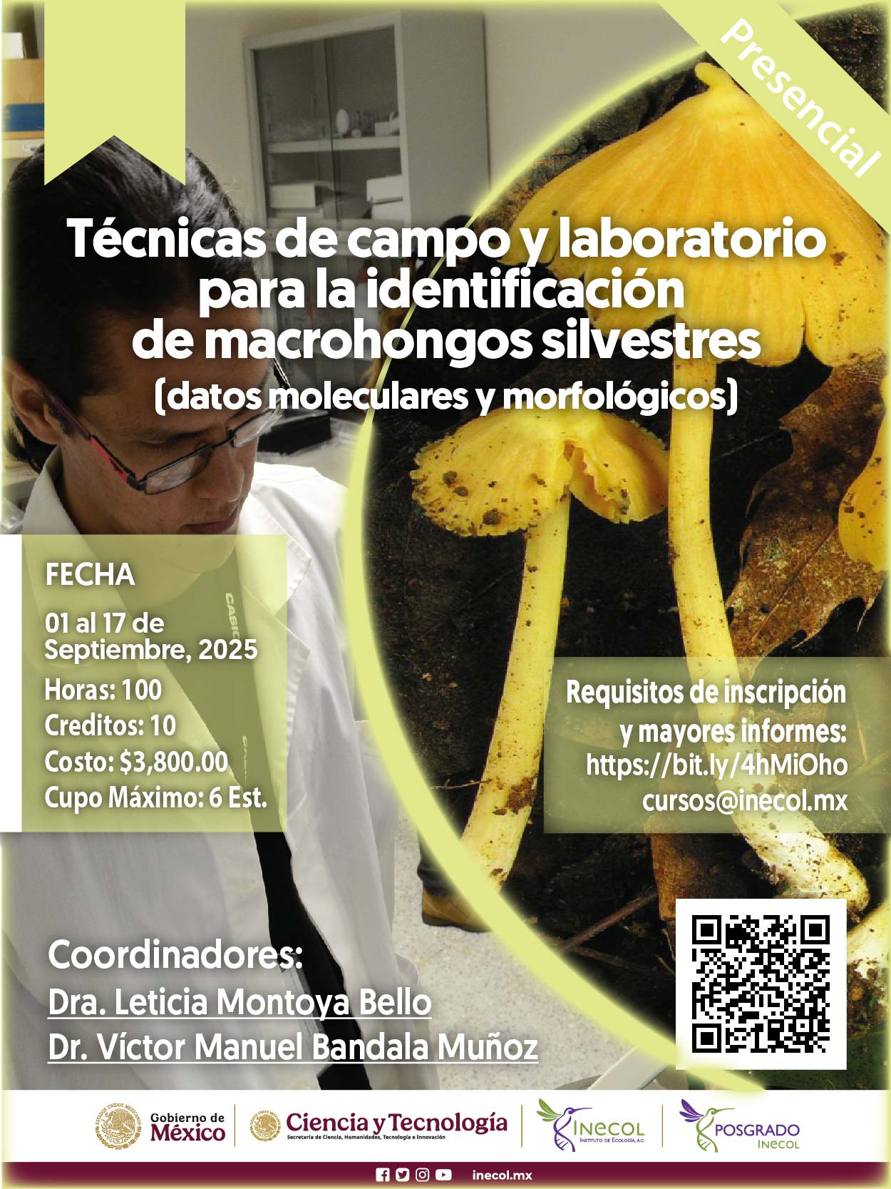 Técnicas de campo y laboratorio para la identificación de macrohongos silvestres (datos moleculares y morfológicos)