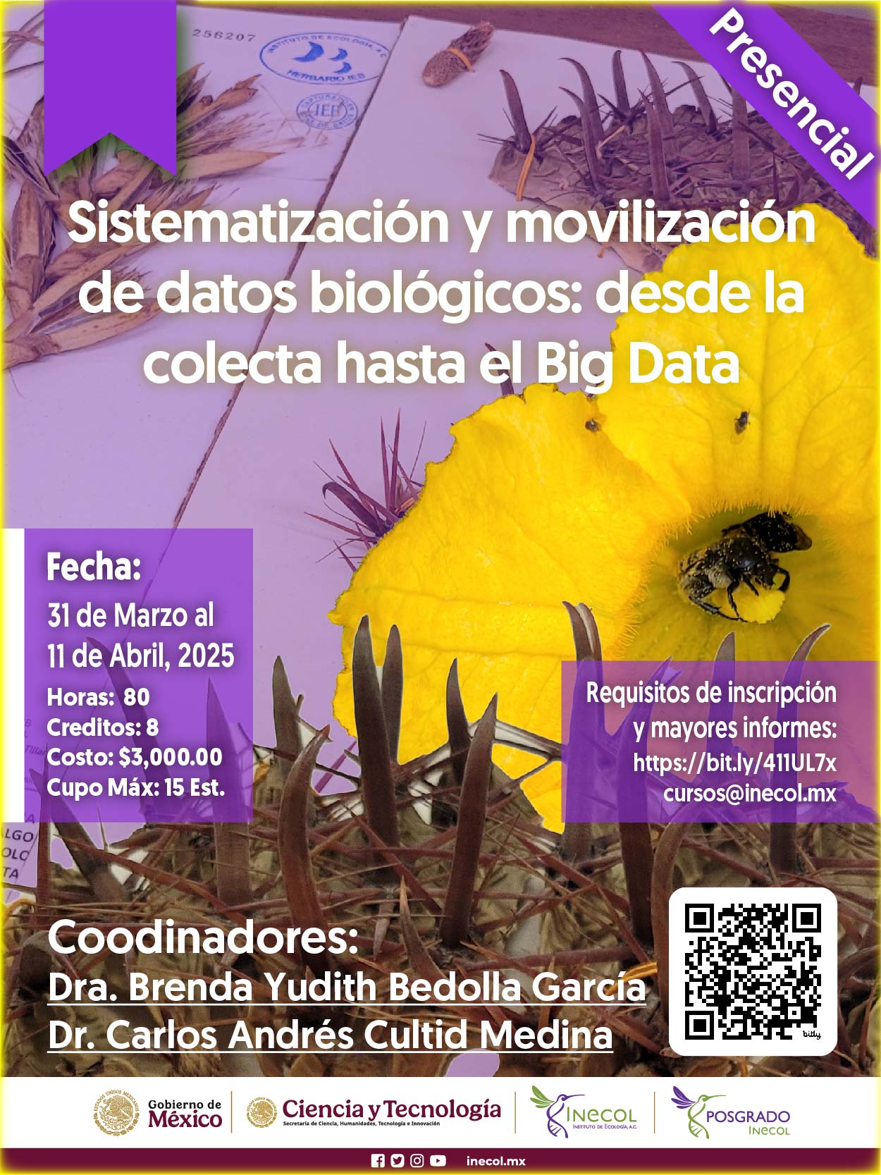 Sistematización y movilización de datos biológicos: desde la colecta hasta el Big Data