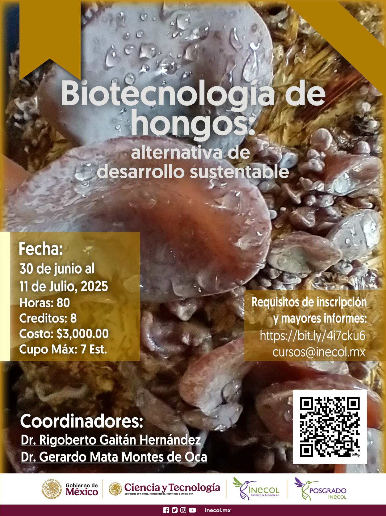 Biotecnología de hongos: alternativa de desarrollo sustentable