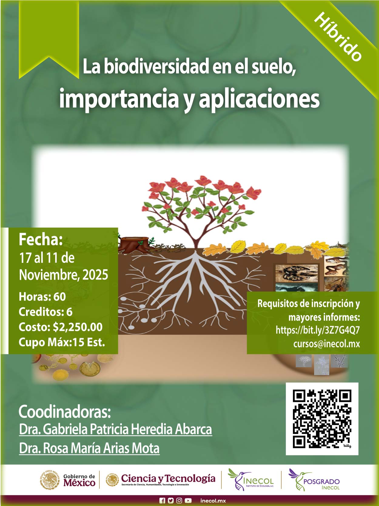 La biodiversidad en el suelo, importancia y aplicaciones
