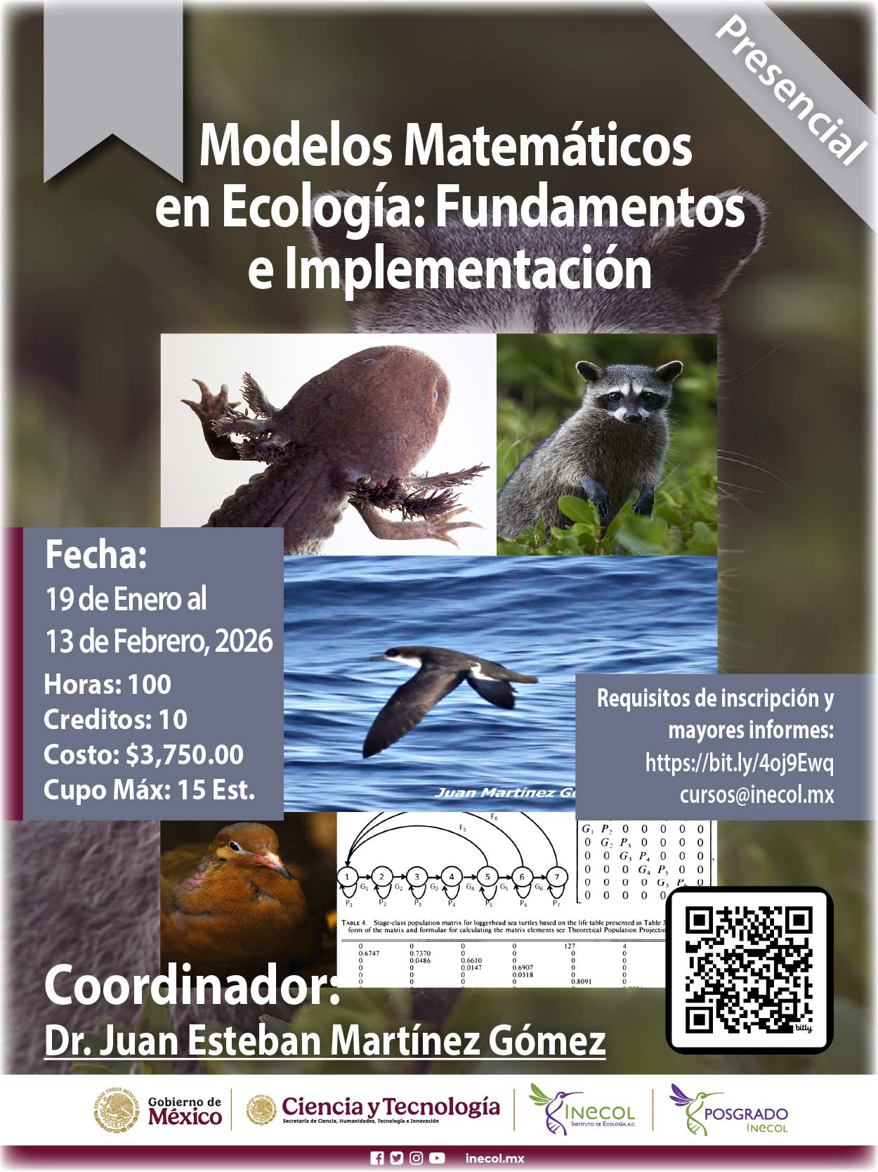 Modelos Matemáticos en Ecología: Fundamentos e Implementación
